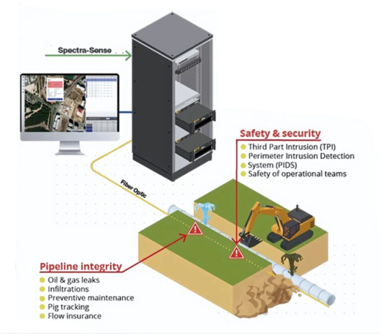 WhatsApp Image 2025-03-29 at 19.53.19_0d07faef