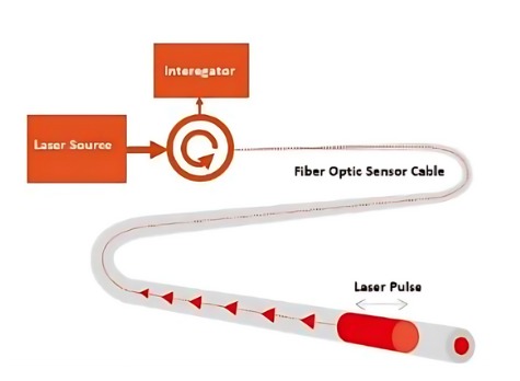 WhatsApp Image 2025-03-29 at 19.53.20_61ccf2c8